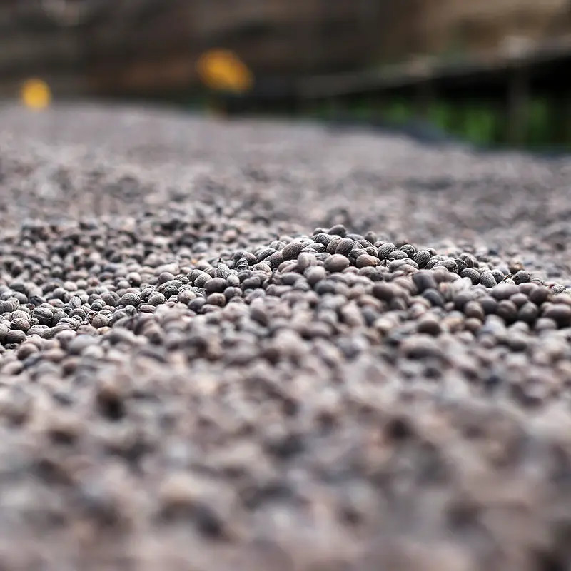 Aricha Grade - photo 4