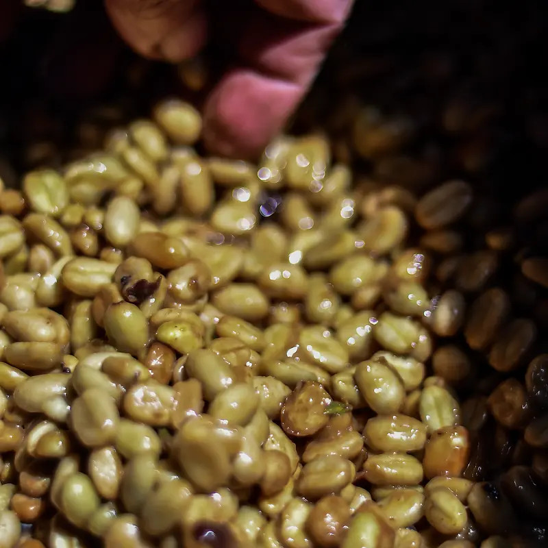 Aricha Grade - photo 5