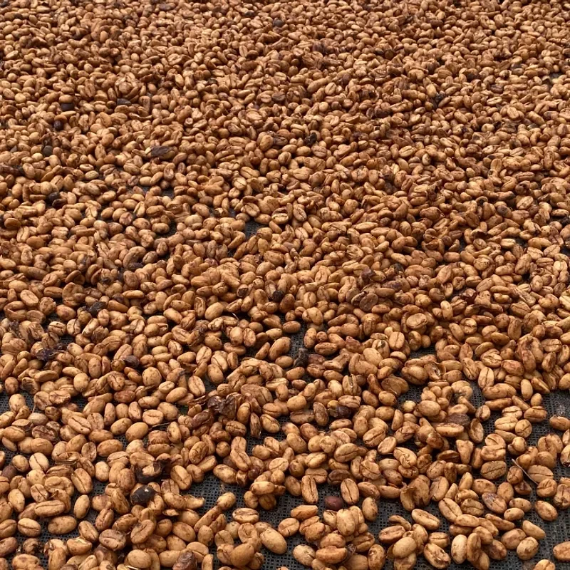 Aricha Natural Grade