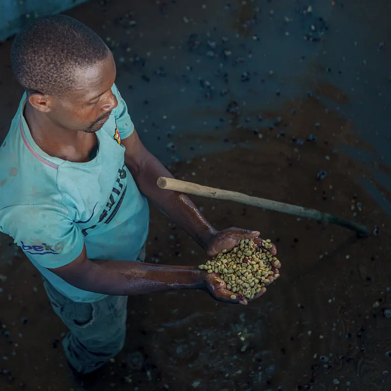 Kolla Bulcha - photo 4